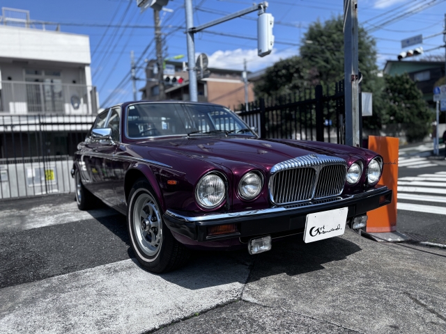 qڍ׉摜